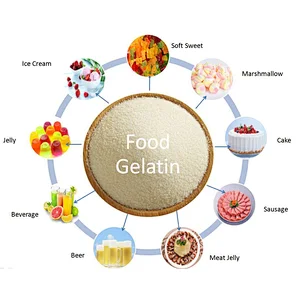Manufacture Food Grade Gelatin Powder CAS 9000-70-8 Halal Gelatin 180 bloom 8mesh